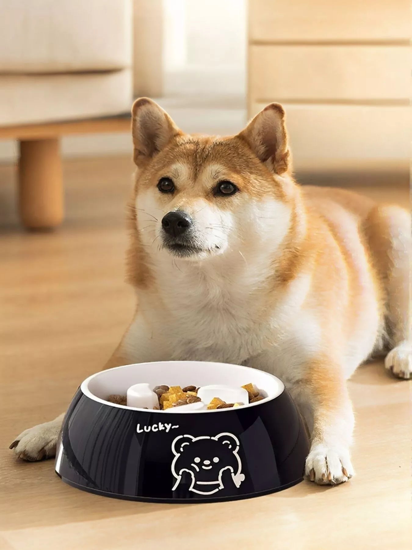 Pet Bowls